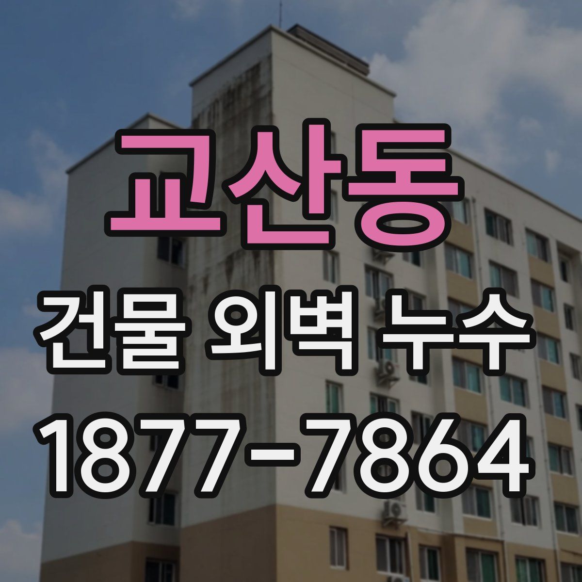 교산동 건물 외벽 누수
