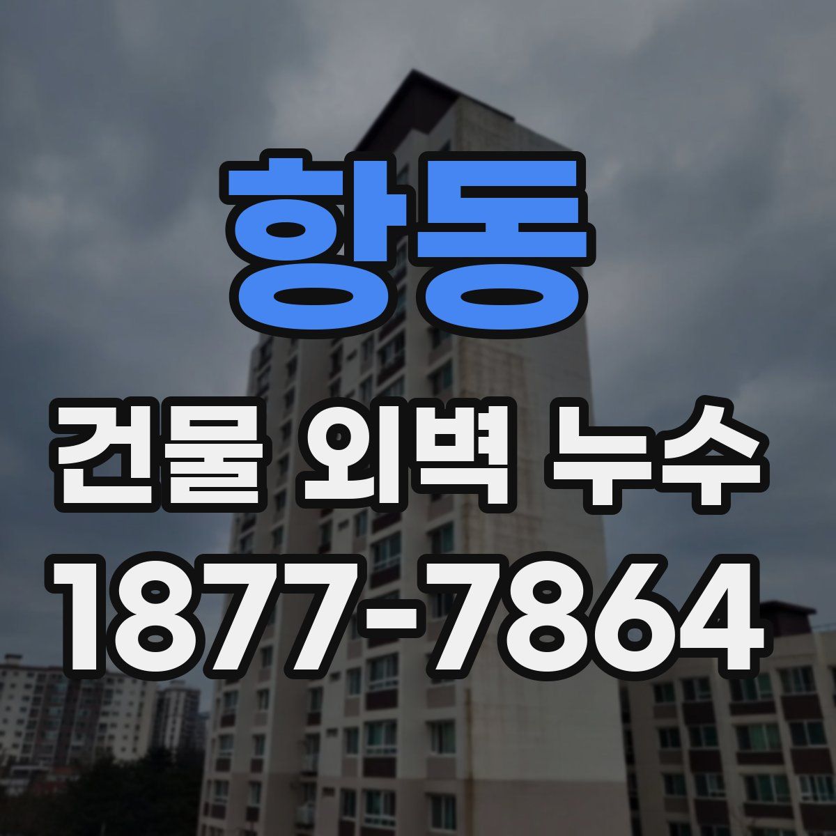 항동 건물 외벽 누수