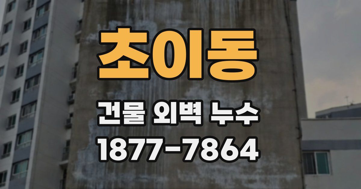초이동 건물 외벽 누수