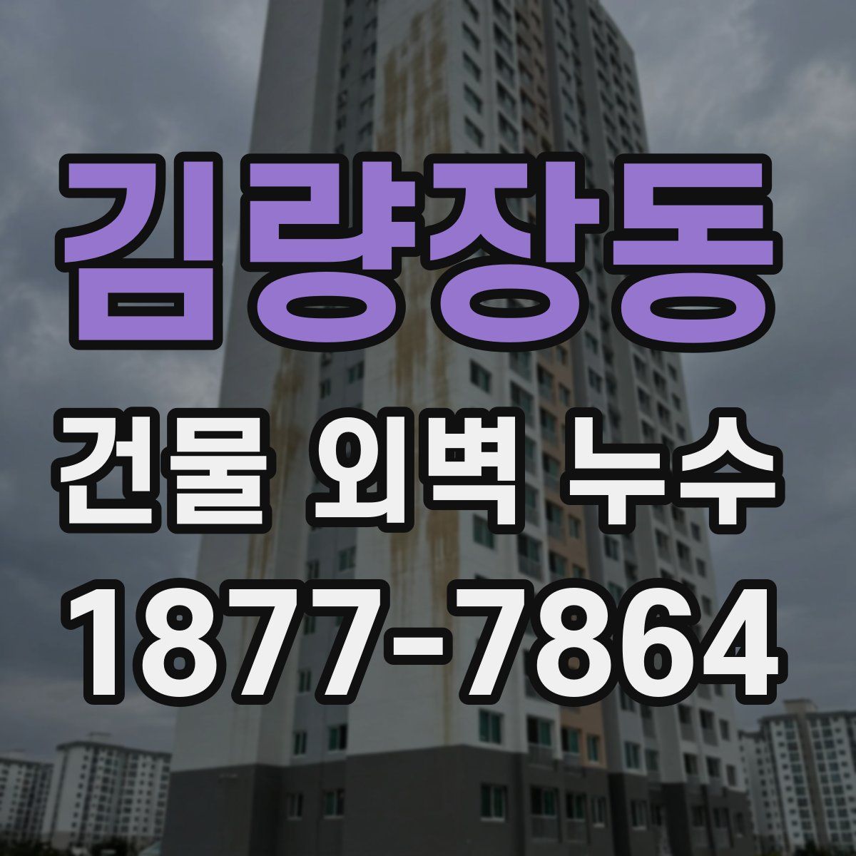 김량장동 건물 외벽 누수