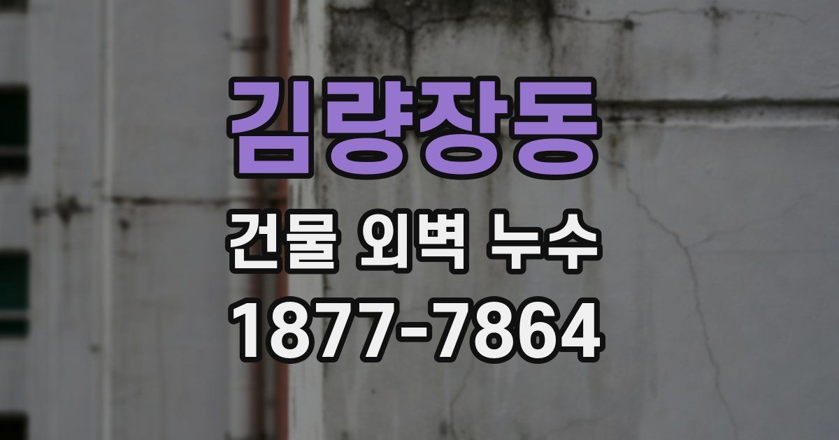 김량장동 건물 외벽 누수