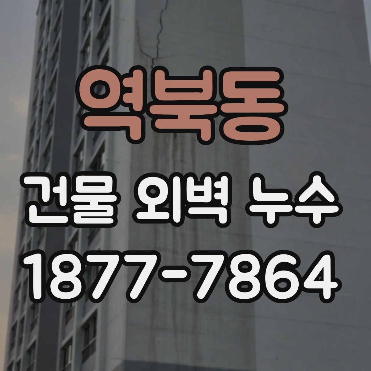 역북동 건물 외벽 누수