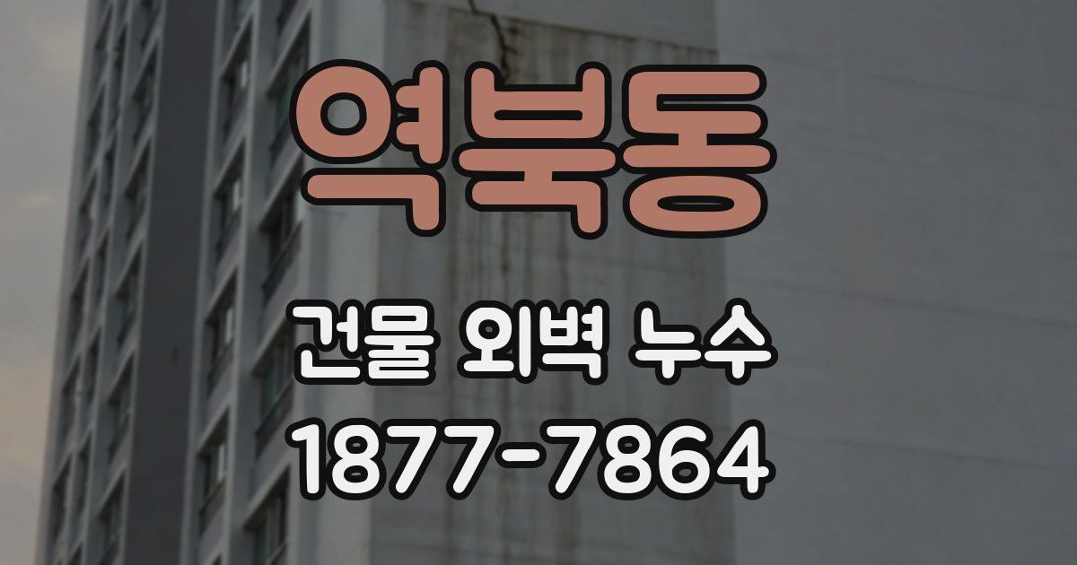 역북동 건물 외벽 누수