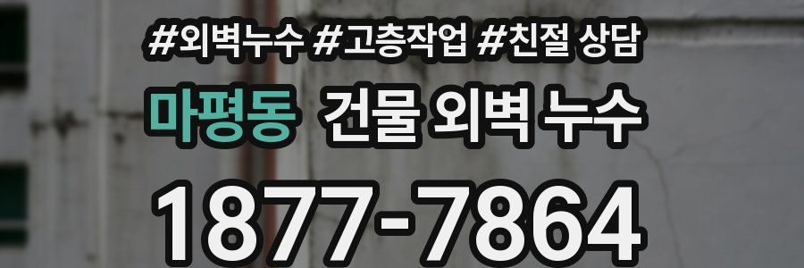 마평동 건물 외벽 누수