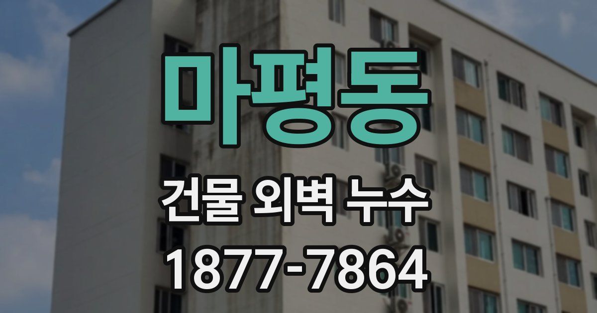 마평동 건물 외벽 누수
