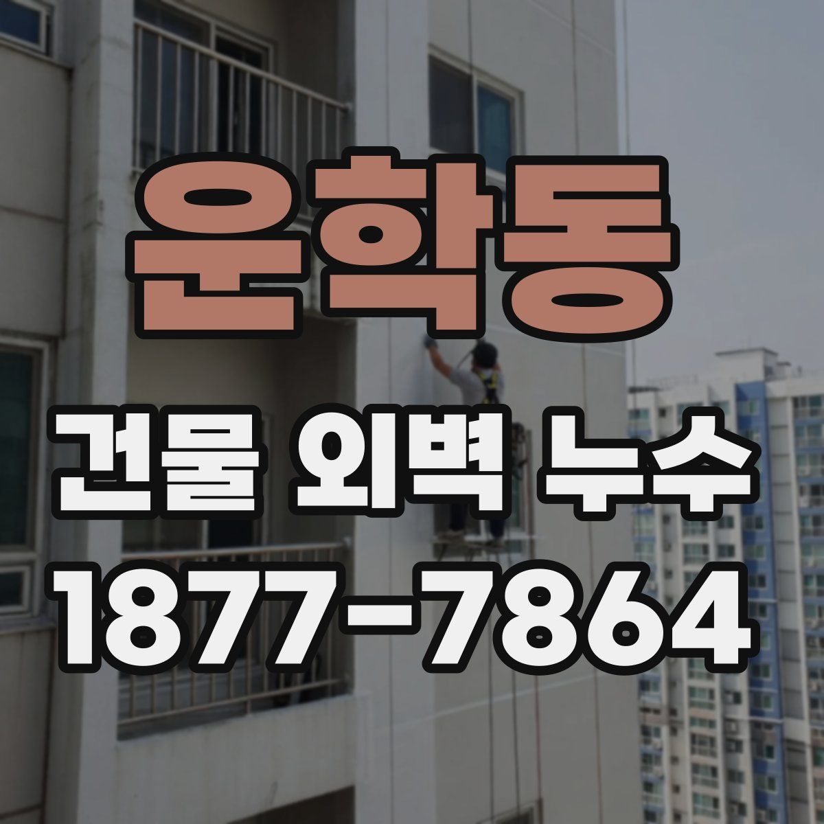 운학동 건물 외벽 누수