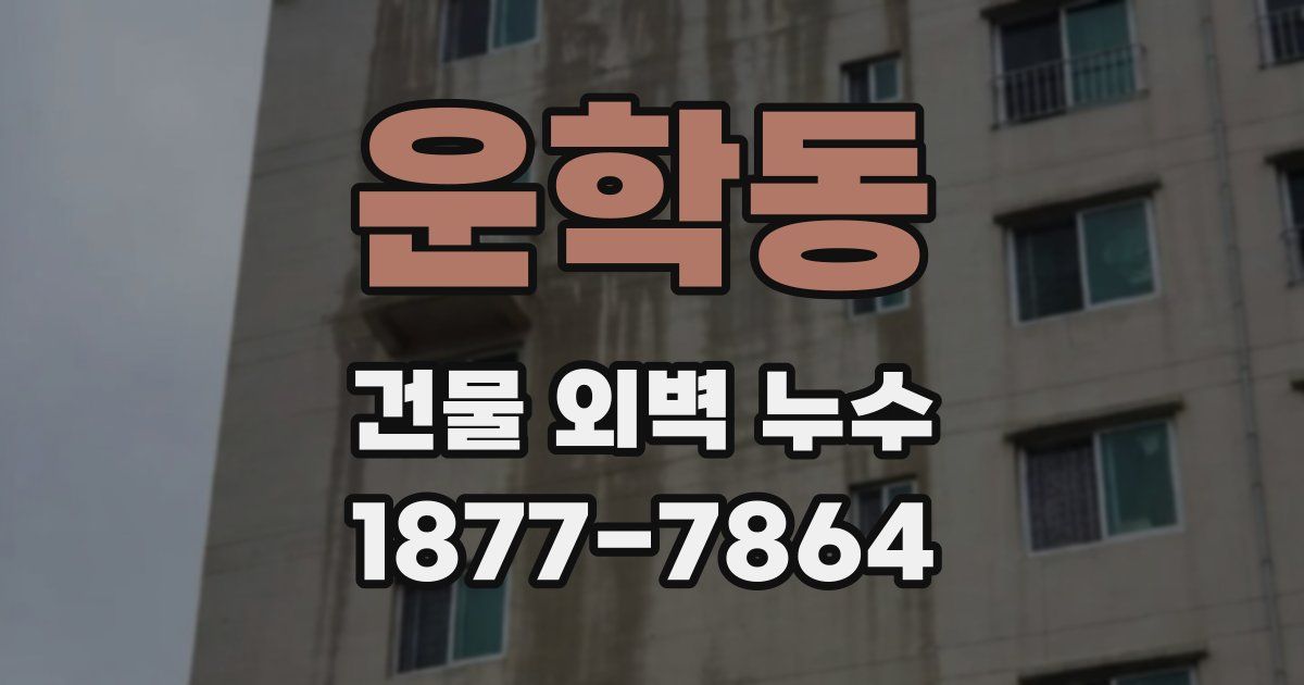 운학동 건물 외벽 누수