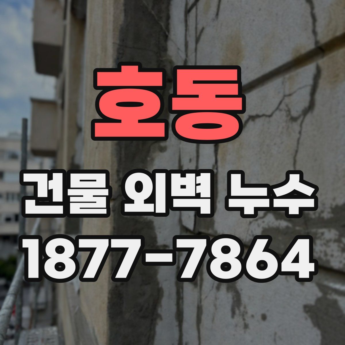 호동 건물 외벽 누수
