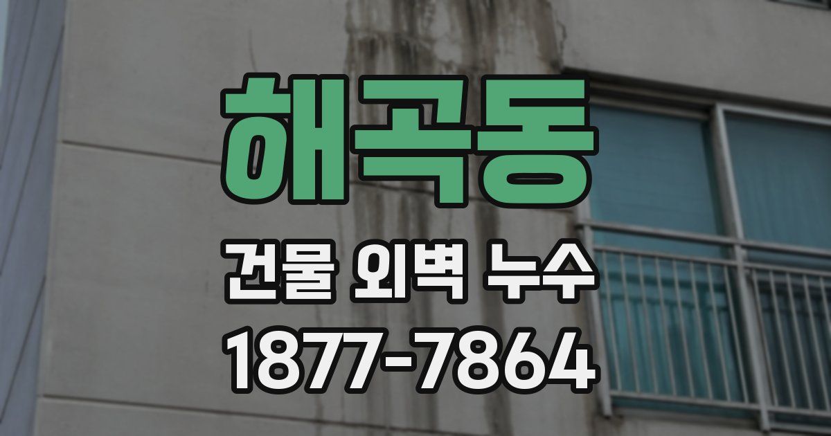 해곡동 건물 외벽 누수