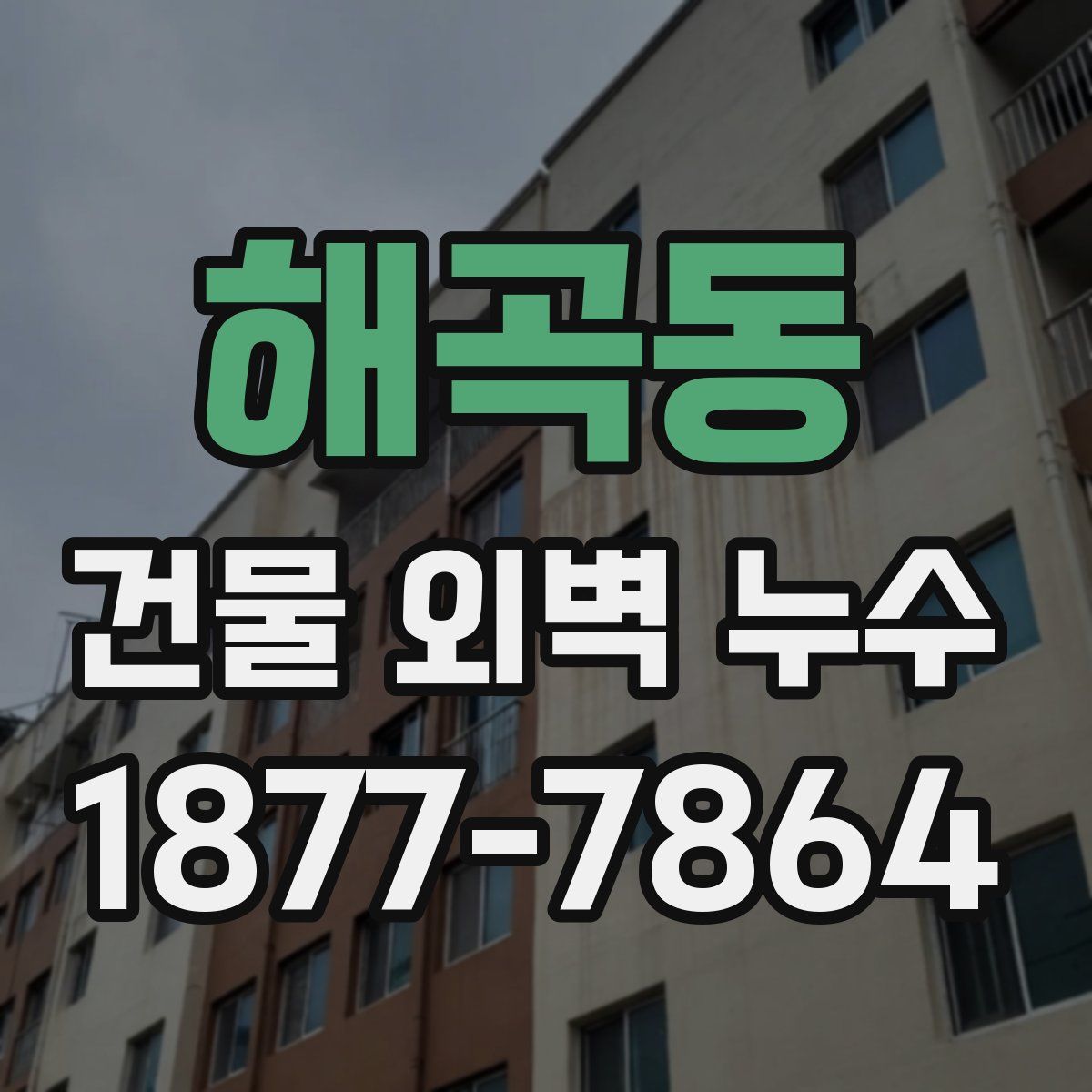 해곡동 건물 외벽 누수