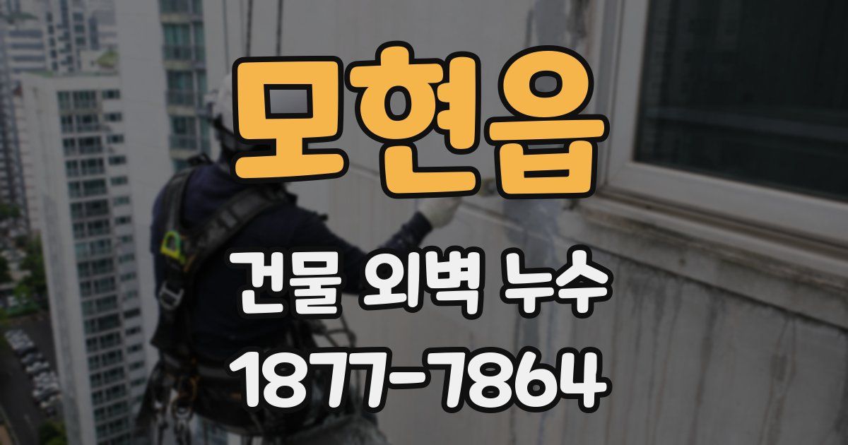 모현읍 건물 외벽 누수