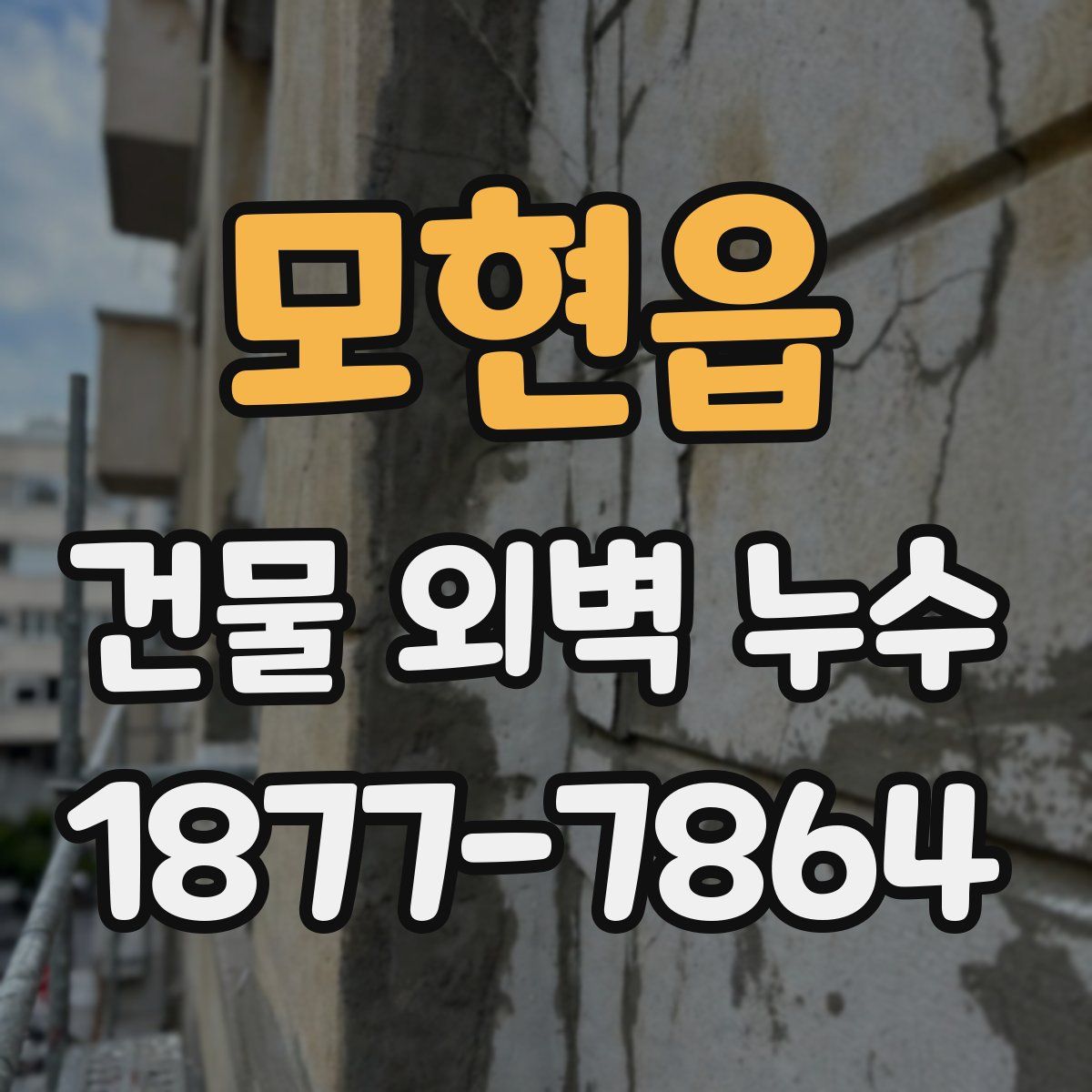 모현읍 건물 외벽 누수