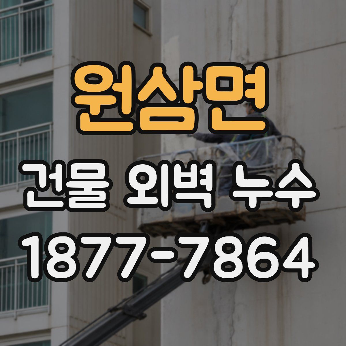 원삼면 건물 외벽 누수