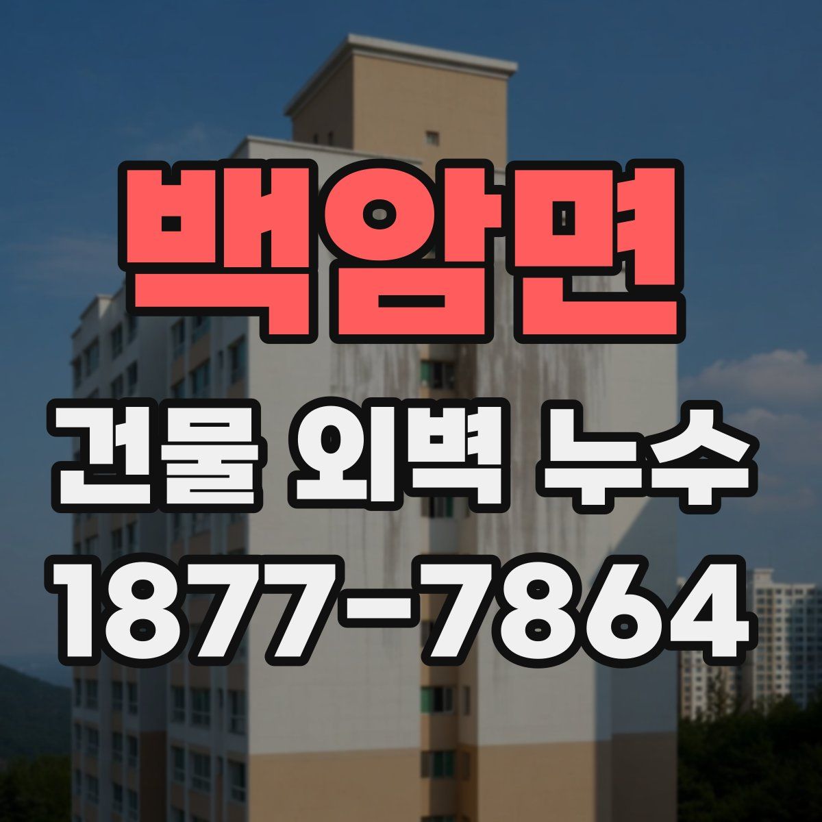 백암면 건물 외벽 누수