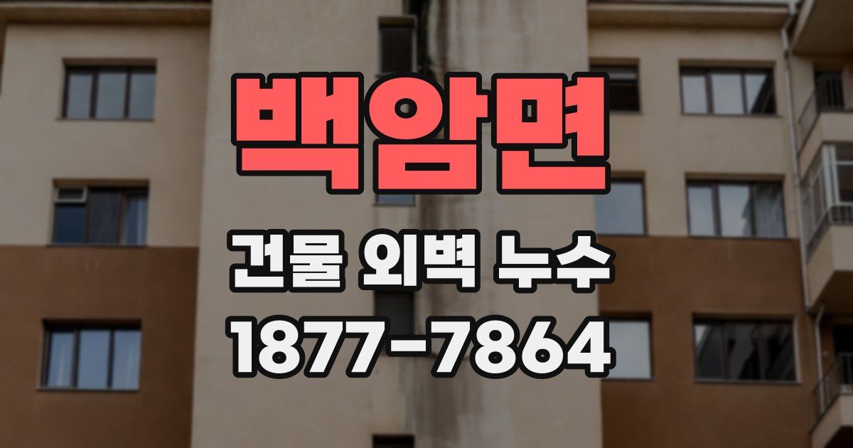 백암면 건물 외벽 누수