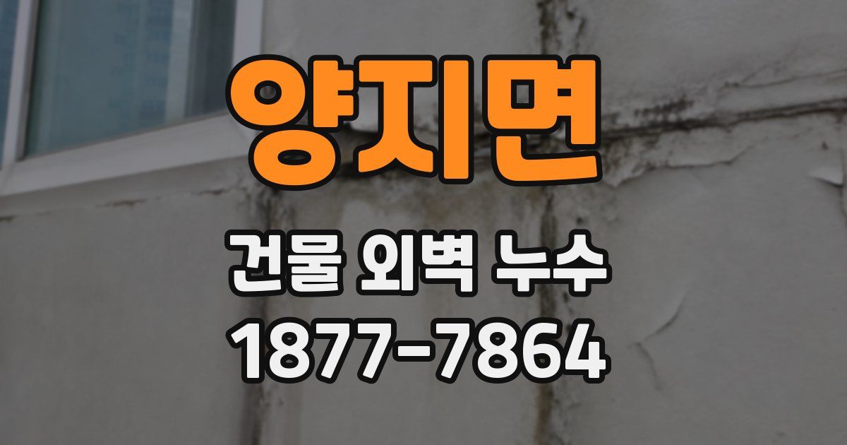 양지면 건물 외벽 누수