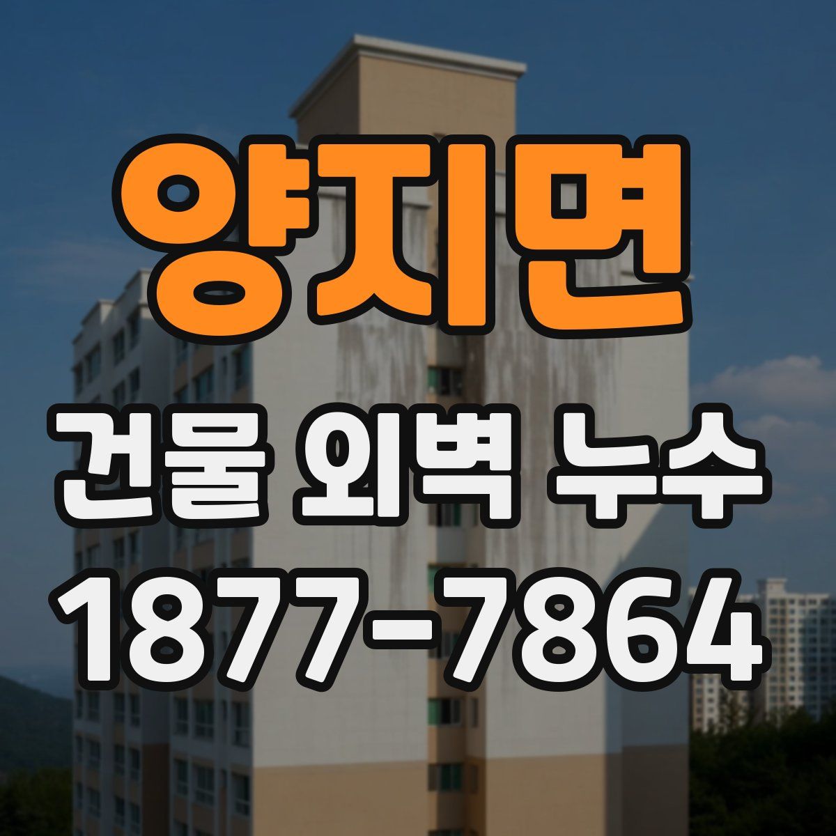 양지면 건물 외벽 누수