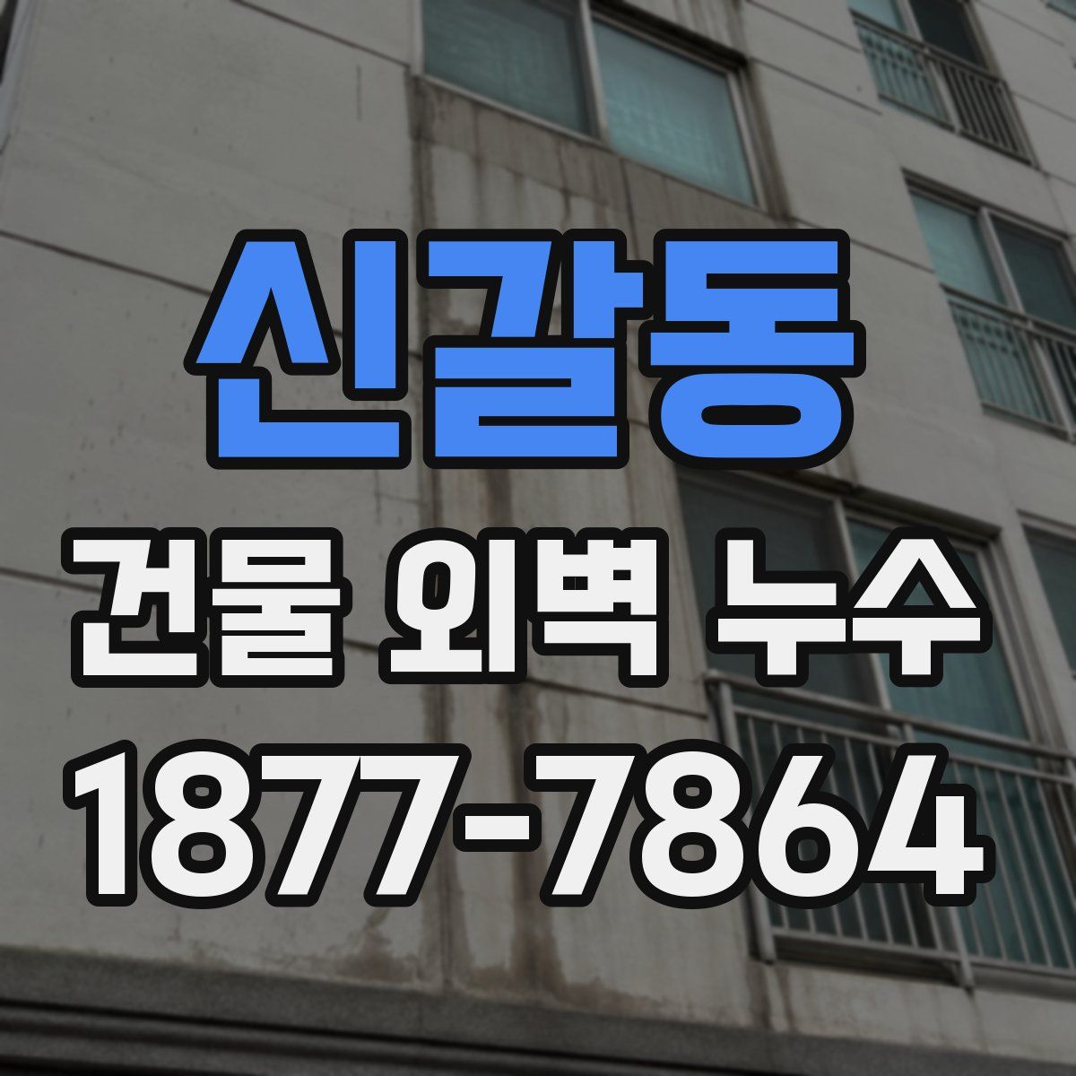 신갈동 건물 외벽 누수