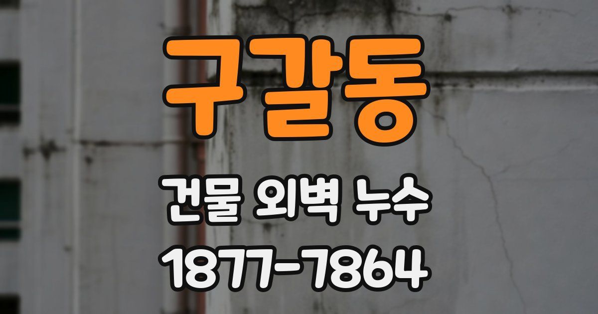 구갈동 건물 외벽 누수