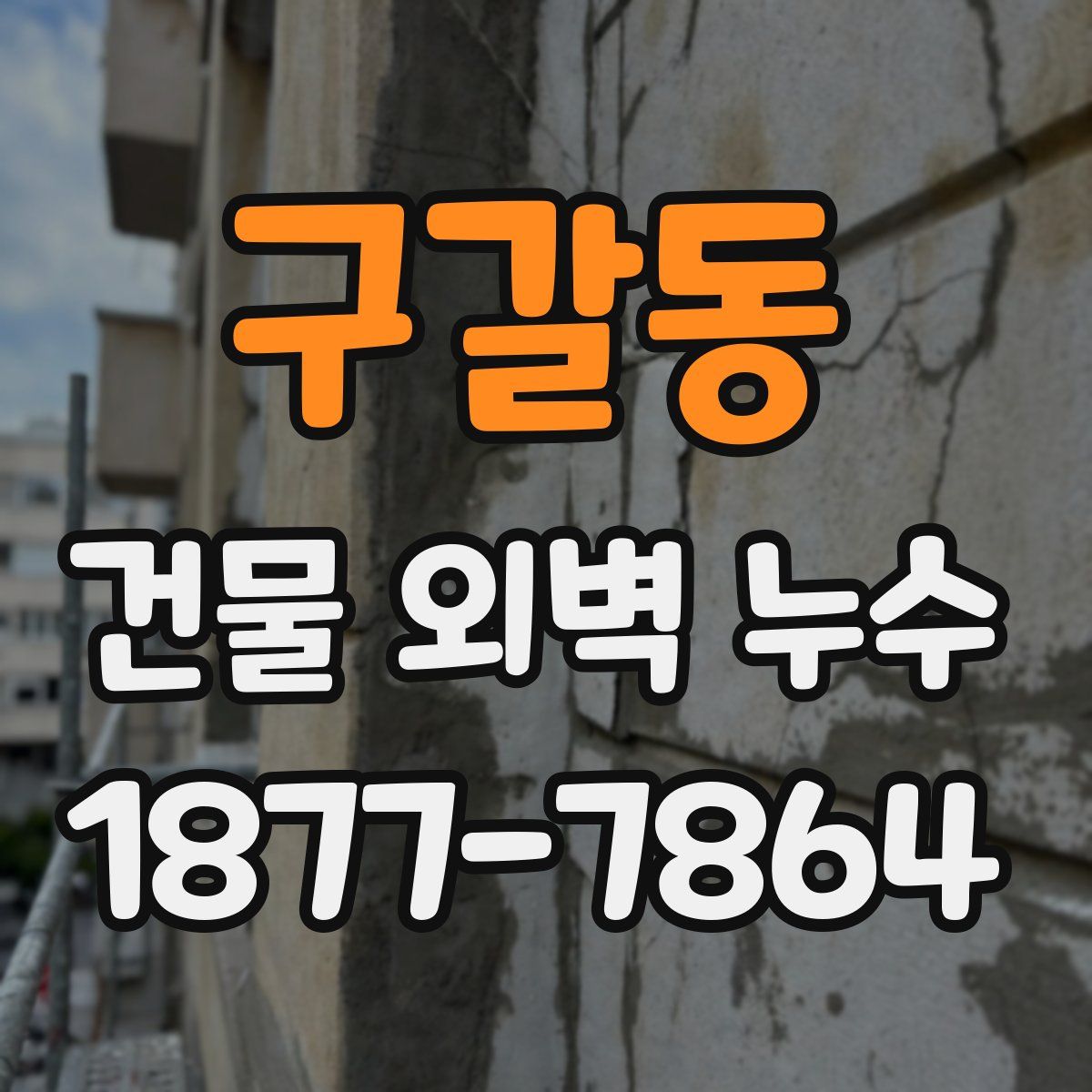 구갈동 건물 외벽 누수