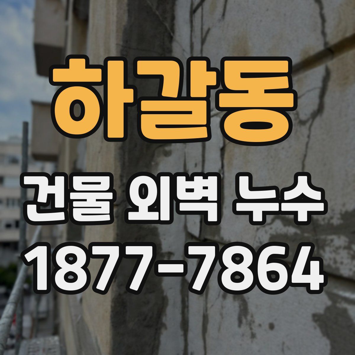 하갈동 건물 외벽 누수