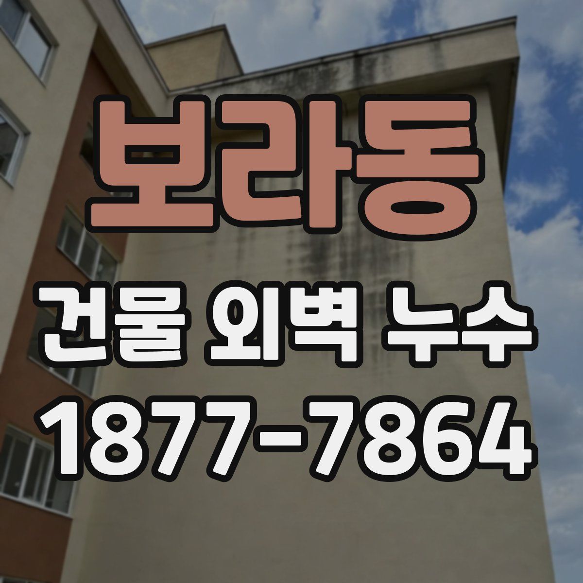보라동 건물 외벽 누수