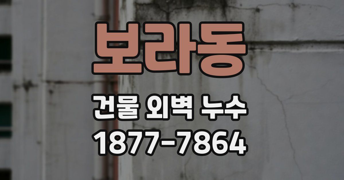 보라동 건물 외벽 누수