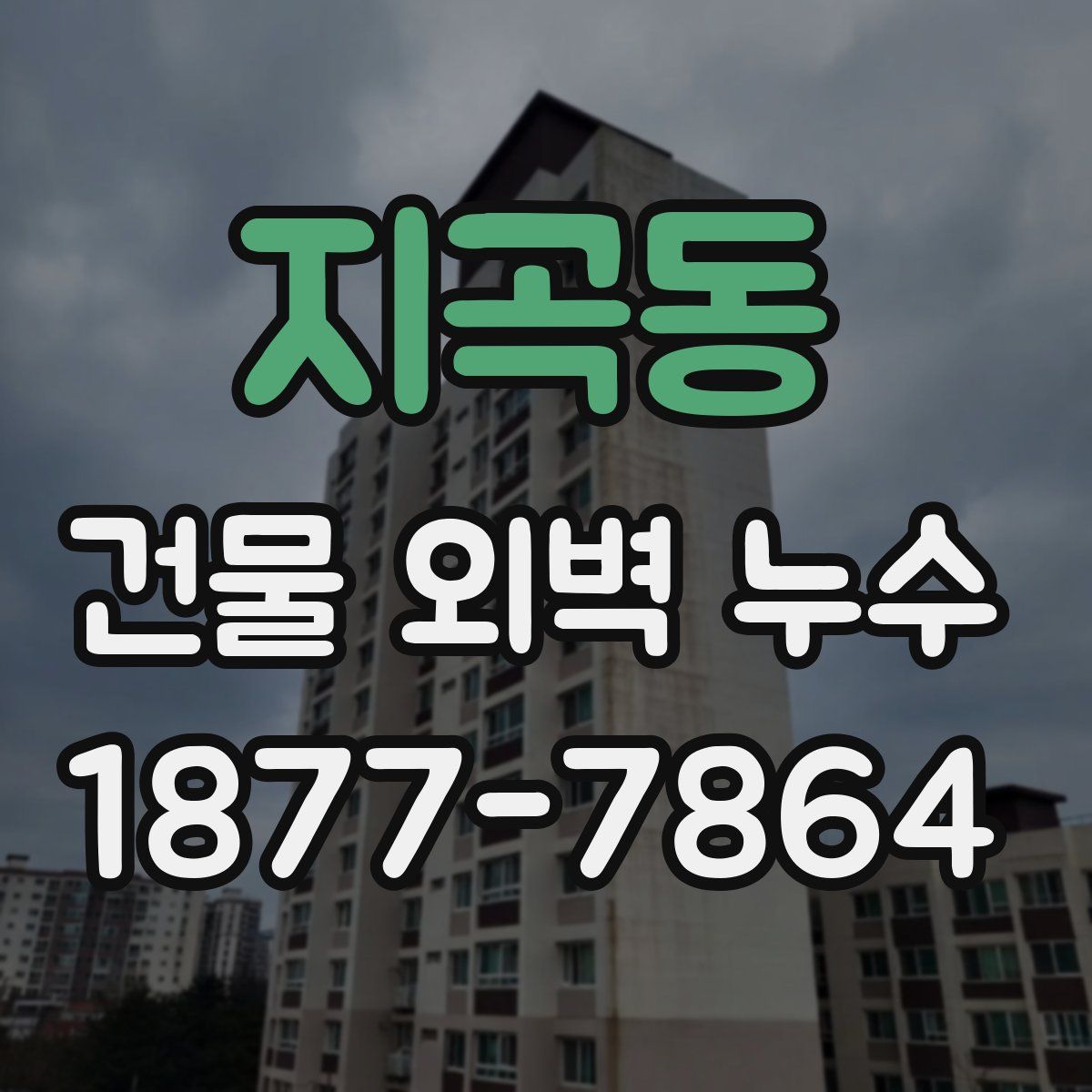 지곡동 건물 외벽 누수