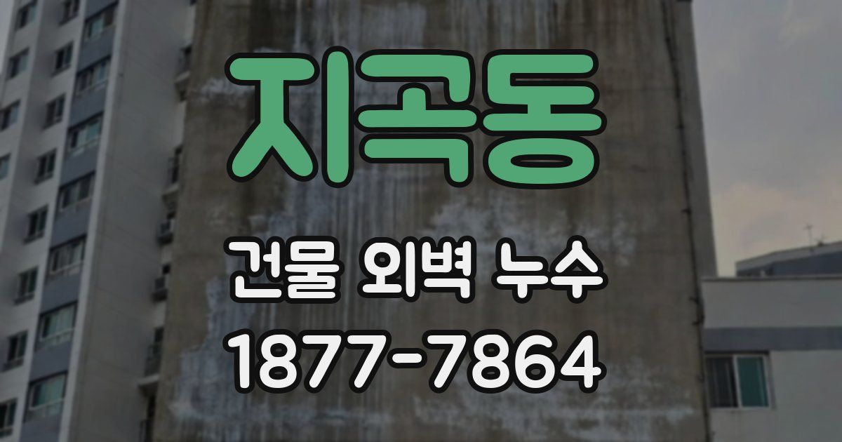 지곡동 건물 외벽 누수