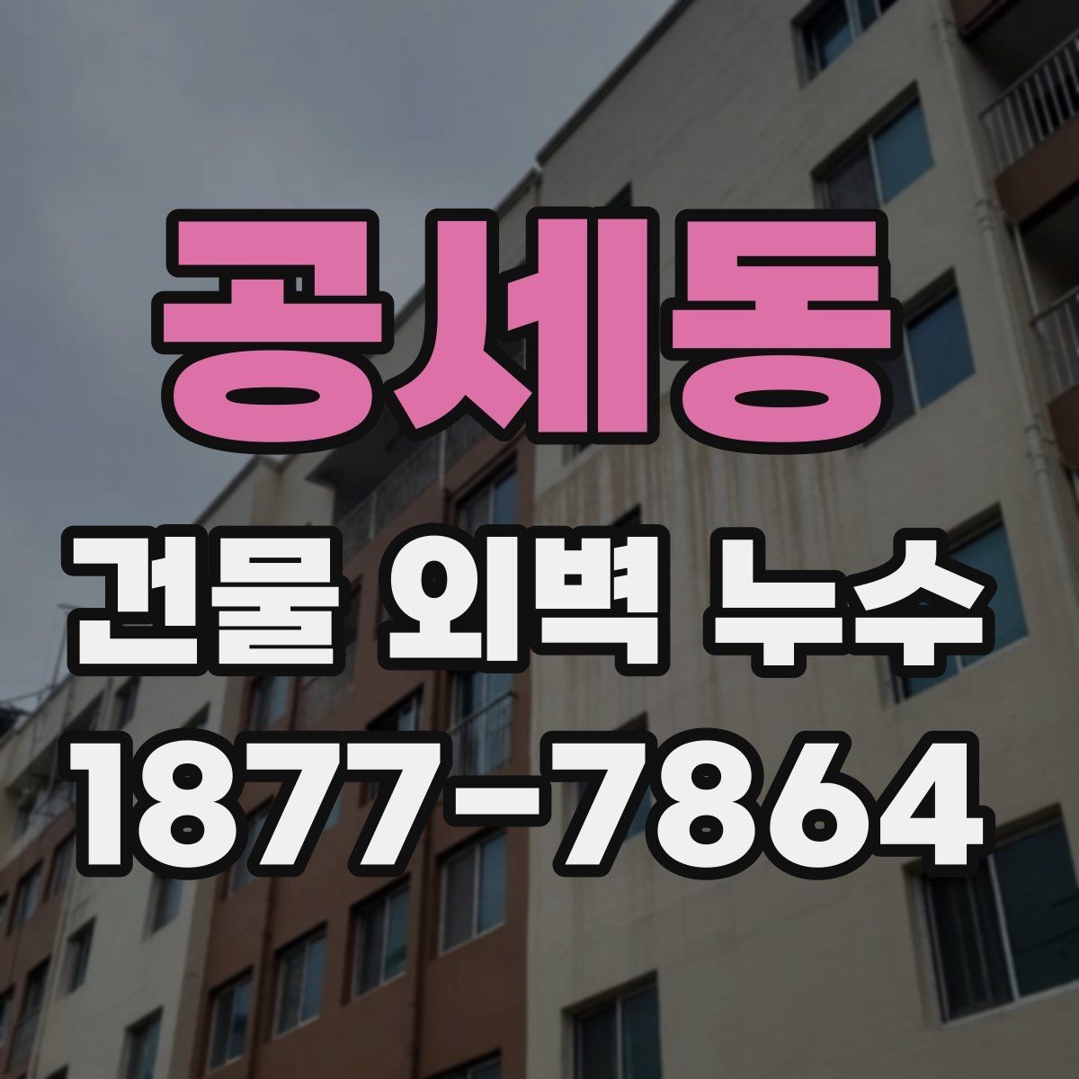 공세동 건물 외벽 누수 수리 전 알아야 할 체크 항목