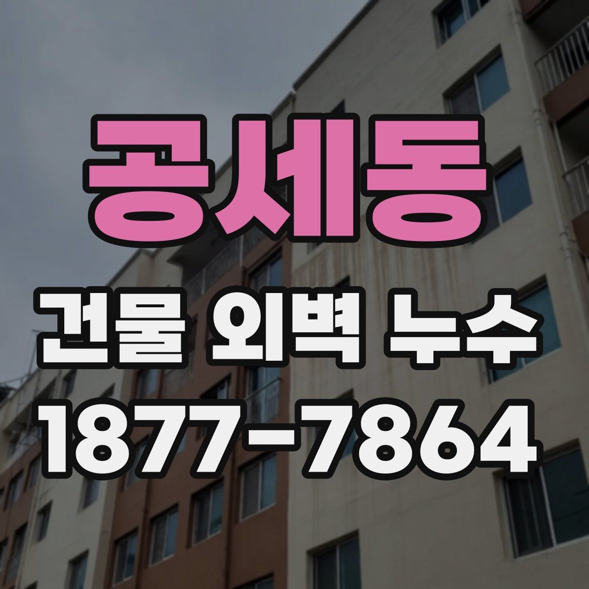 공세동 건물 외벽 누수