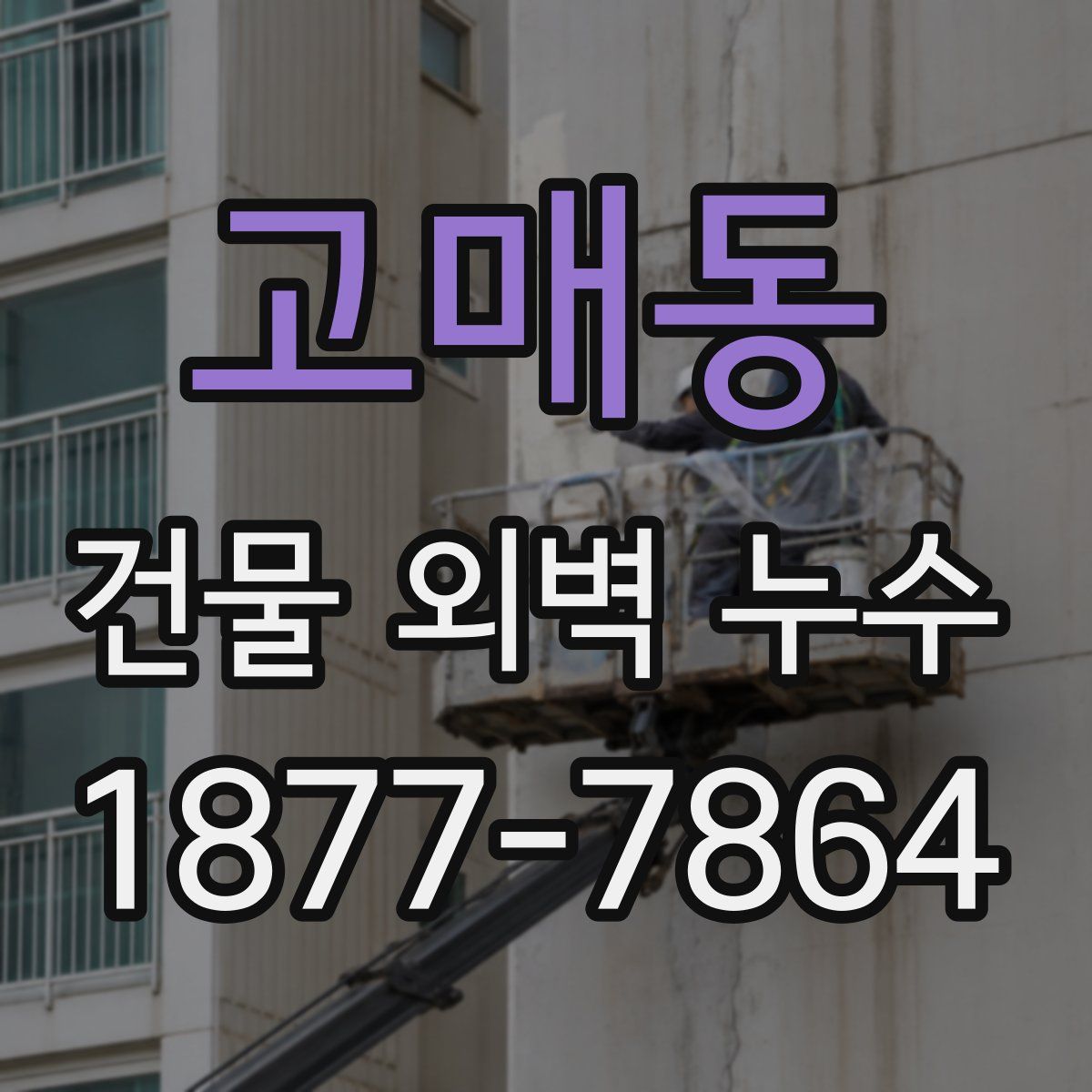 고매동 건물 외벽 누수