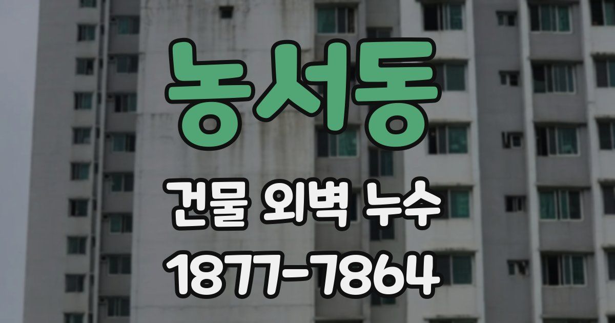 농서동 건물 외벽 누수