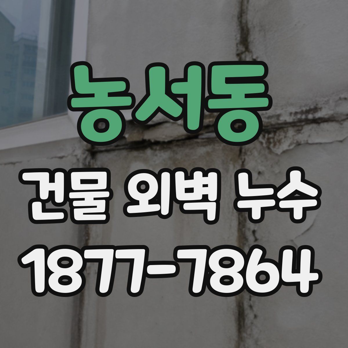 농서동 건물 외벽 누수