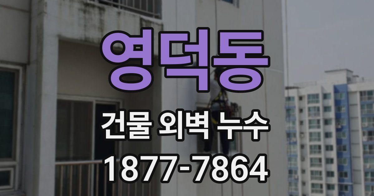 영덕동 건물 외벽 누수