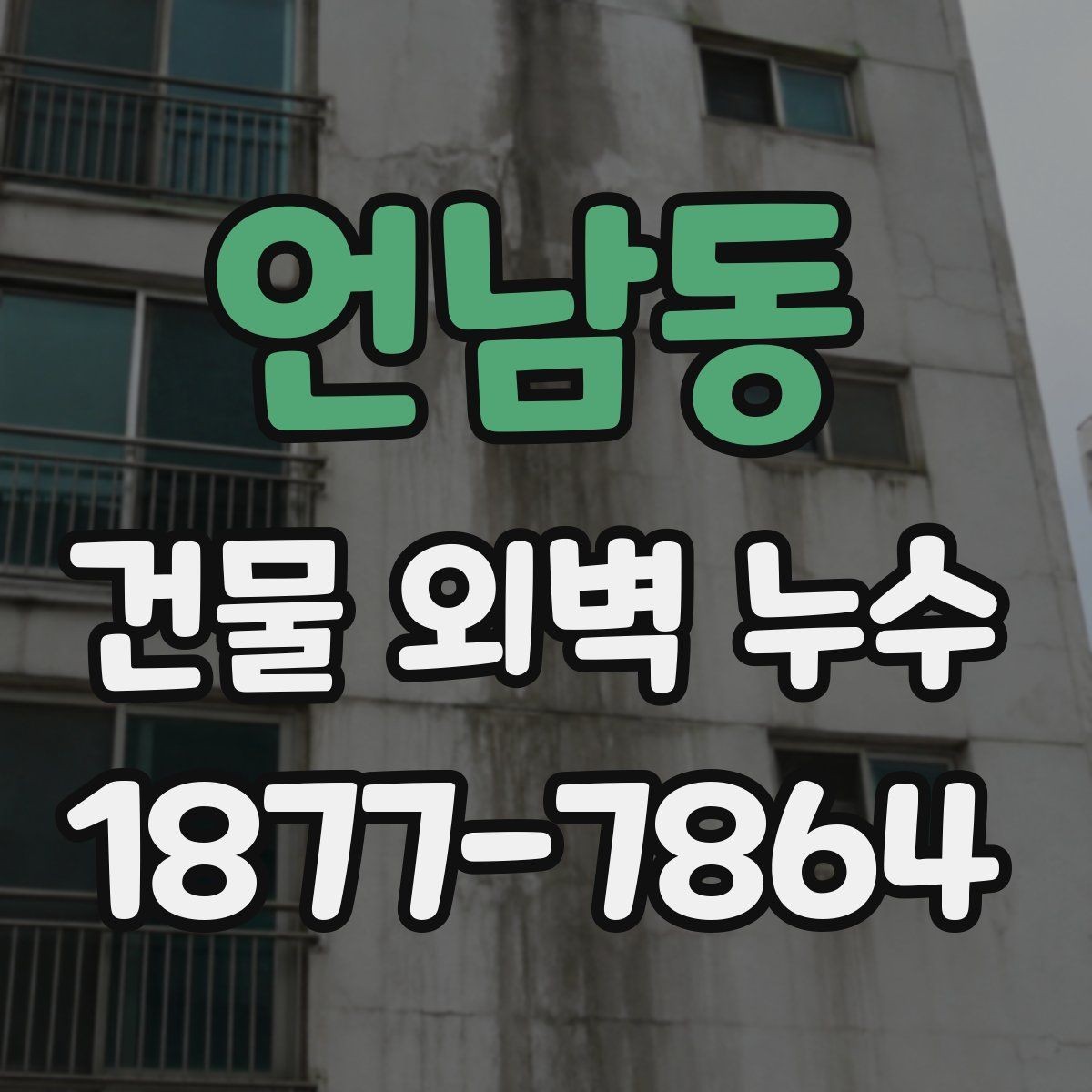 언남동 건물 외벽 누수 공사 전 확인해야 할 현장 조건