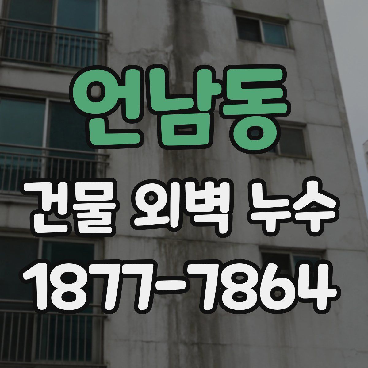 언남동 건물 외벽 누수