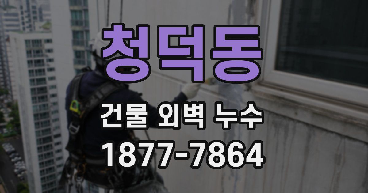 청덕동 건물 외벽 누수
