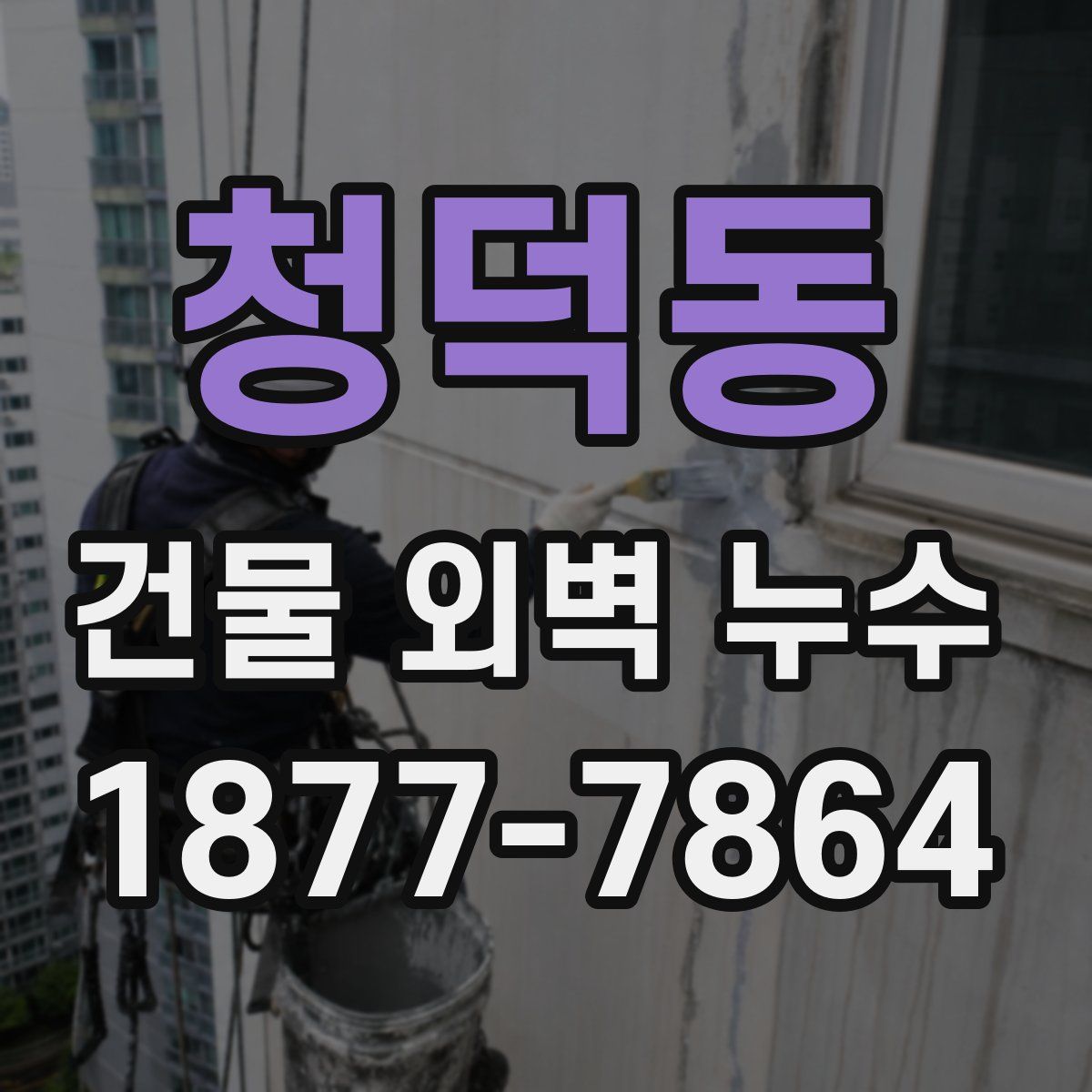 청덕동 건물 외벽 누수