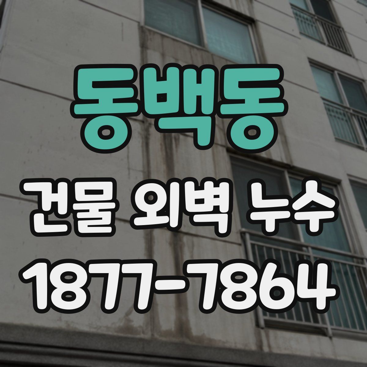 동백동 건물 외벽 누수