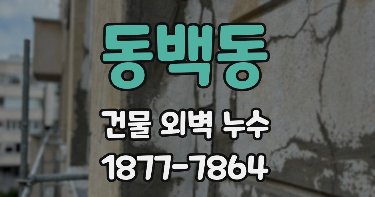 동백동 건물 외벽 누수