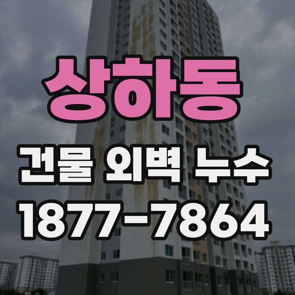 상하동 건물 외벽 누수
