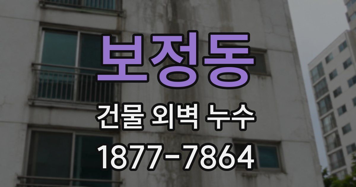 보정동 건물 외벽 누수