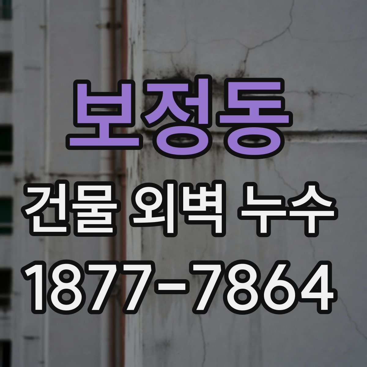 보정동 건물 외벽 누수