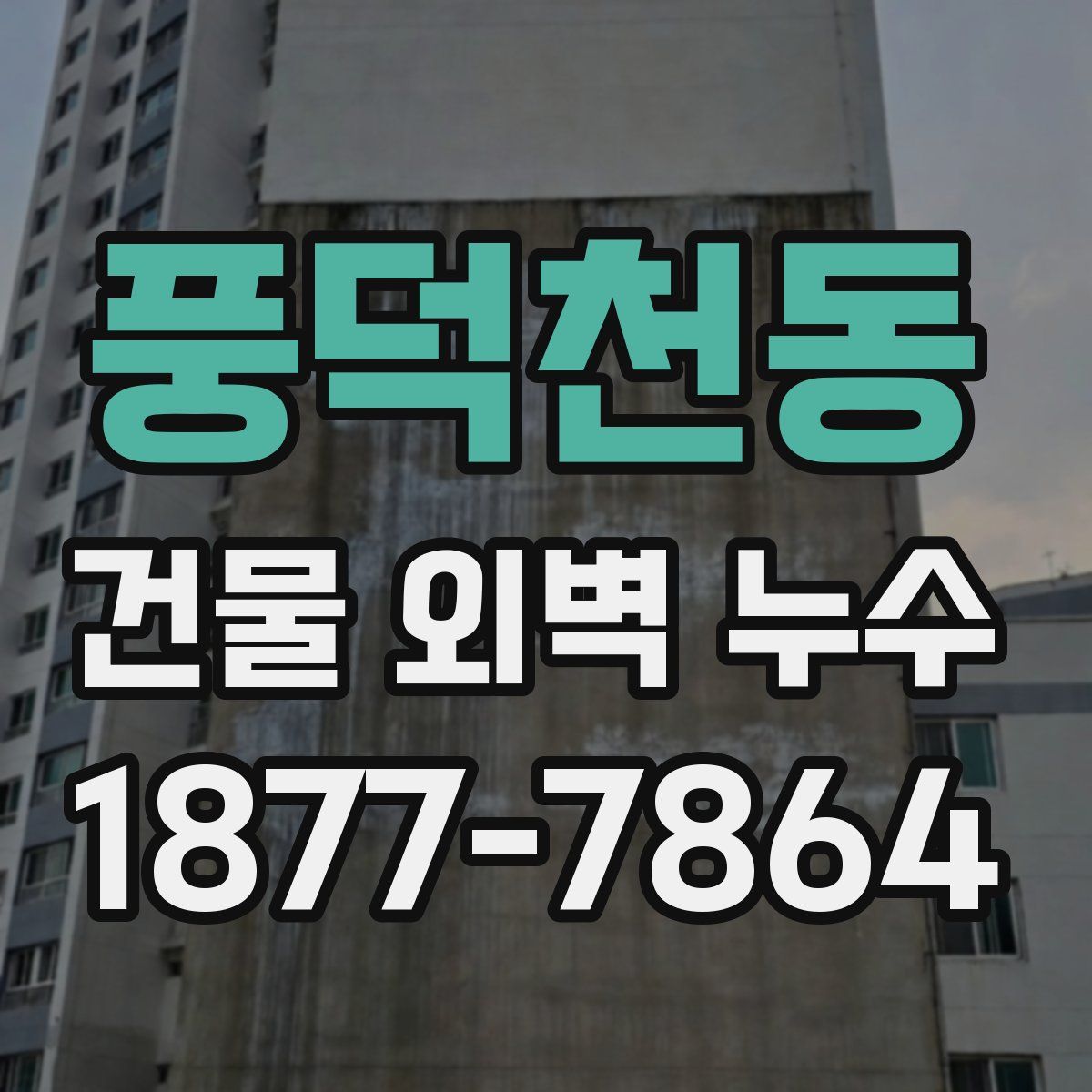 풍덕천동 건물 외벽 누수