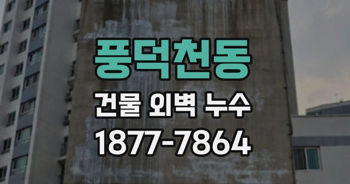 풍덕천동 건물 외벽 누수