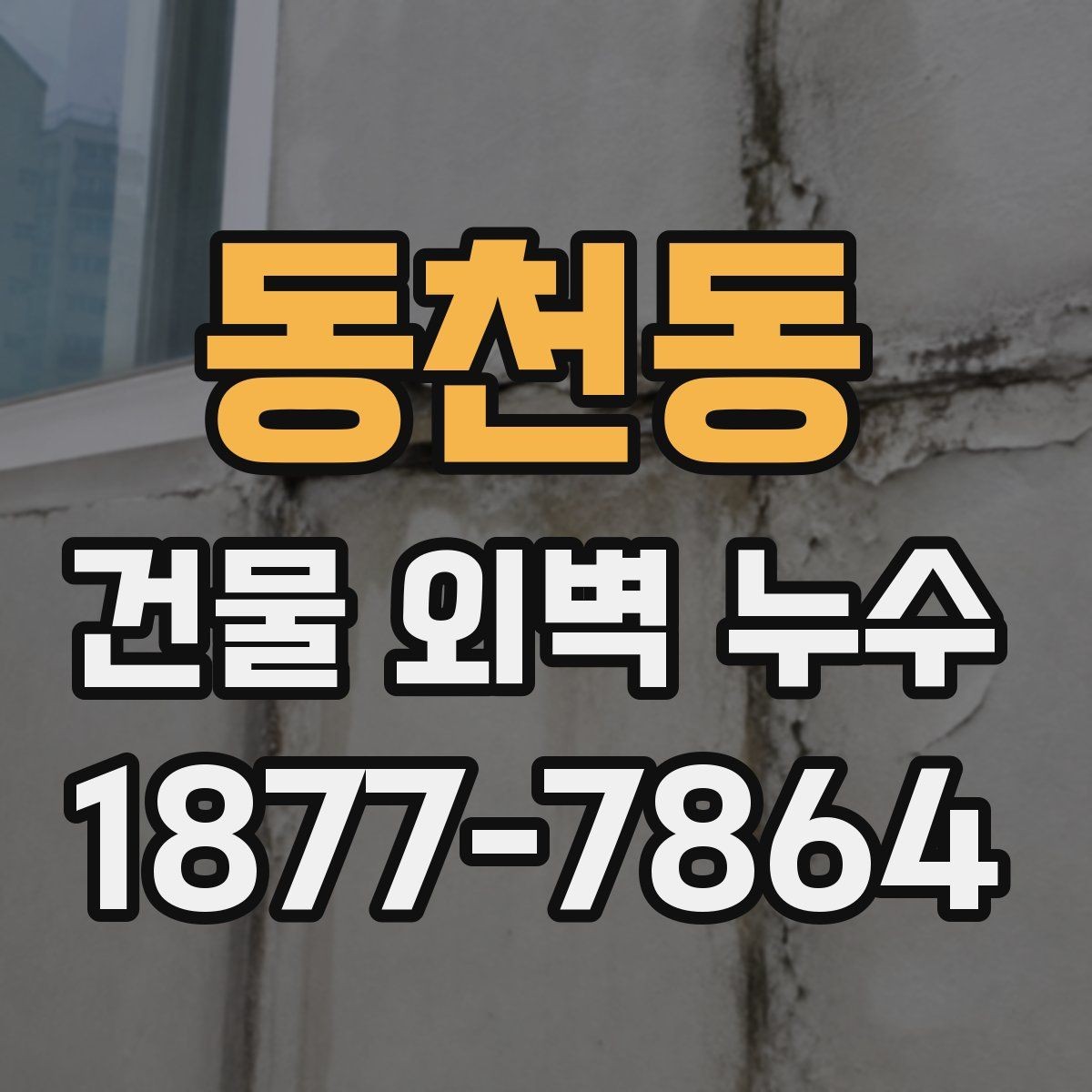동천동 건물 외벽 누수 장마철 대비 점검 체크