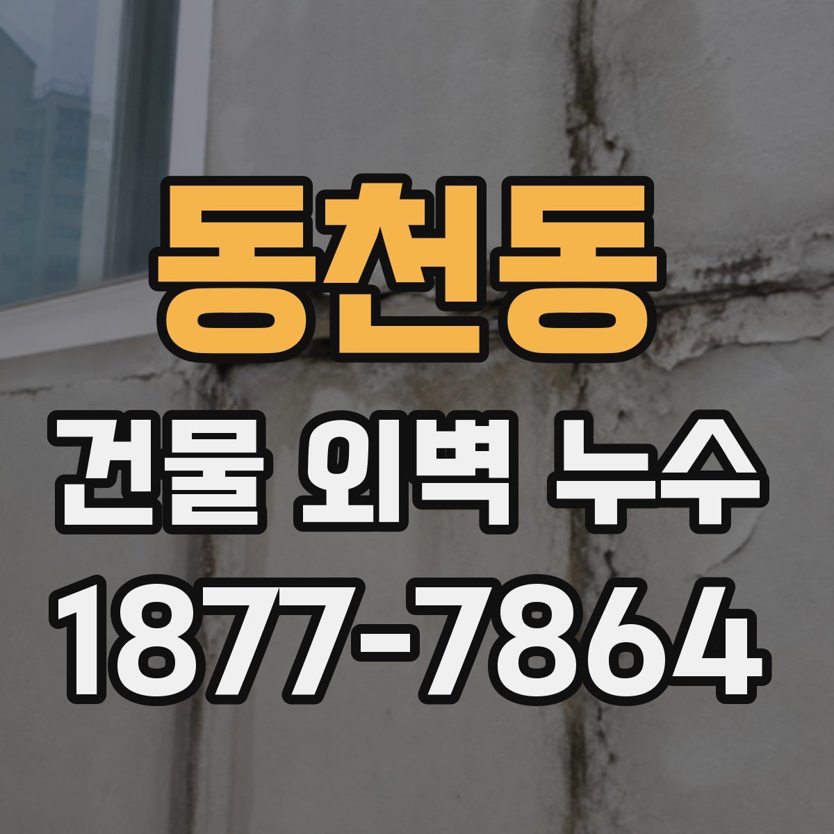 동천동 건물 외벽 누수
