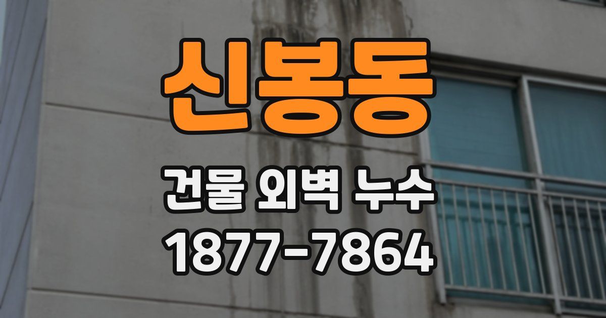 신봉동 건물 외벽 누수