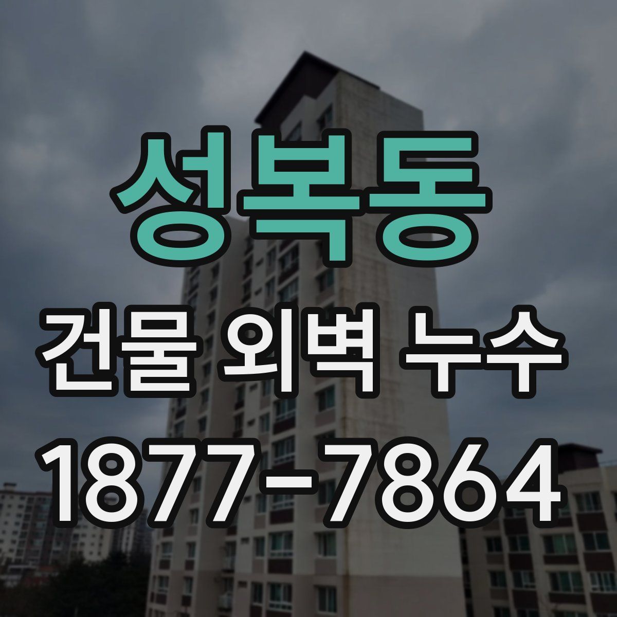 성복동 건물 외벽 누수